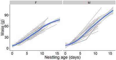 Population Social Structure Facilitates Indirect Fitness Benefits from Extra-Pair Mating